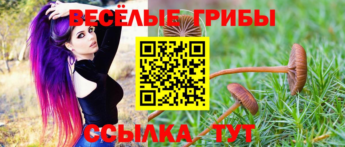 Псилоцибиновые грибы Magic Shrooms  Вход с VPN  где продают наркотики  Вичуга 