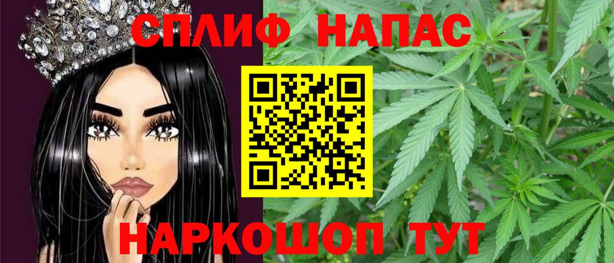 Каннабис семена Вичуга